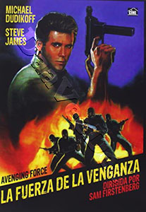 Avenging Force  |   DVD